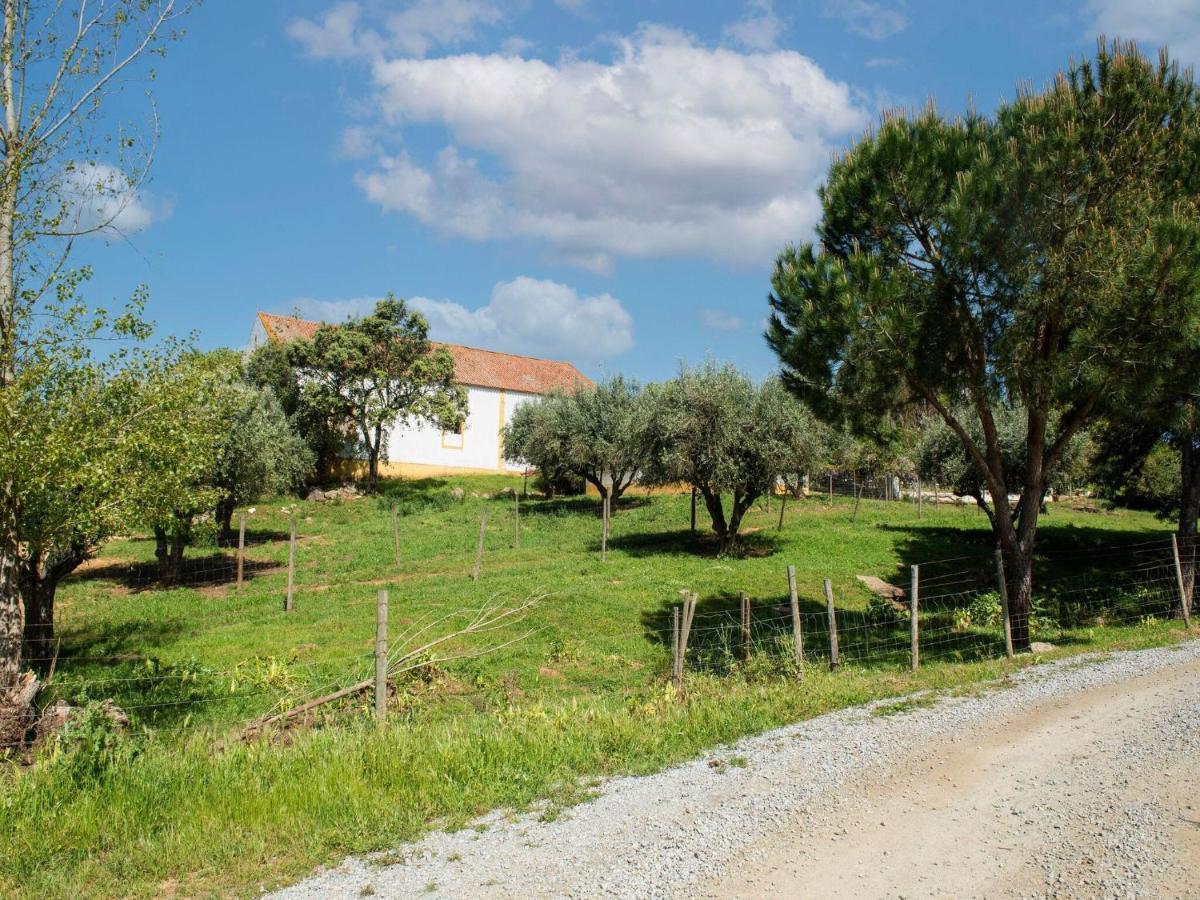 House With Authentic Tiling And Antique Furniture Vila Montemor-o-Novo Exterior foto