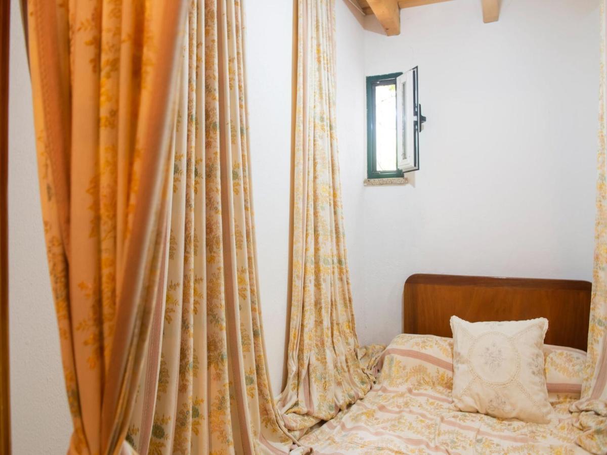 House With Authentic Tiling And Antique Furniture Vila Montemor-o-Novo Exterior foto